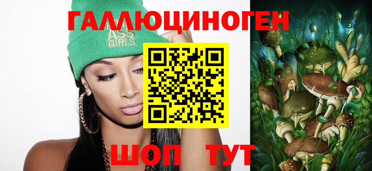Майкоп  Галлюциногенные грибы Psilocybine cubensis  Вход с VPN 