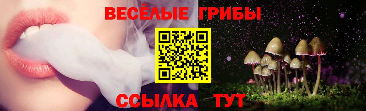 Галлюциногенные грибы прущие грибы Майкоп